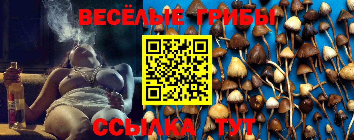 Галлюциногенные грибы MAGIC MUSHROOMS  Вход с VPN  Кумертау  Псилоцибиновые грибы Psilocybe 